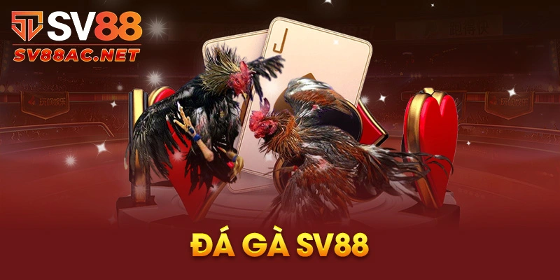 Đá gà sv88 kiếm tiền đơn giản hơn bao giờ hết Đá gà sv88 kiếm tiền đơn giản hơn bao giờ hết