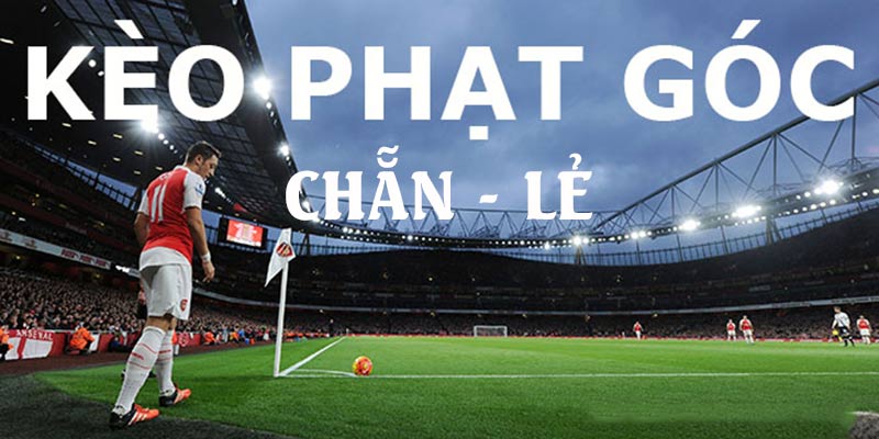 Dự đoán số lần phạt góc theo 2 cửa cược Chẵn - Lẻ Dự đoán số lần phạt góc theo 2 cửa cược Chẵn - Lẻ