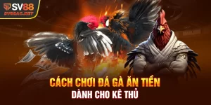 Ưu Điểm Nổi Bật Tại Đá Gà Ăn Tiền Dành Cho Kê Thủ - SV88
