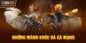 Mánh Khóe Đá Gà Mạng Hay Nhất Của Cao Thủ SV88